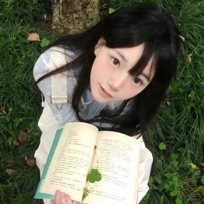 莫西干回到故乡